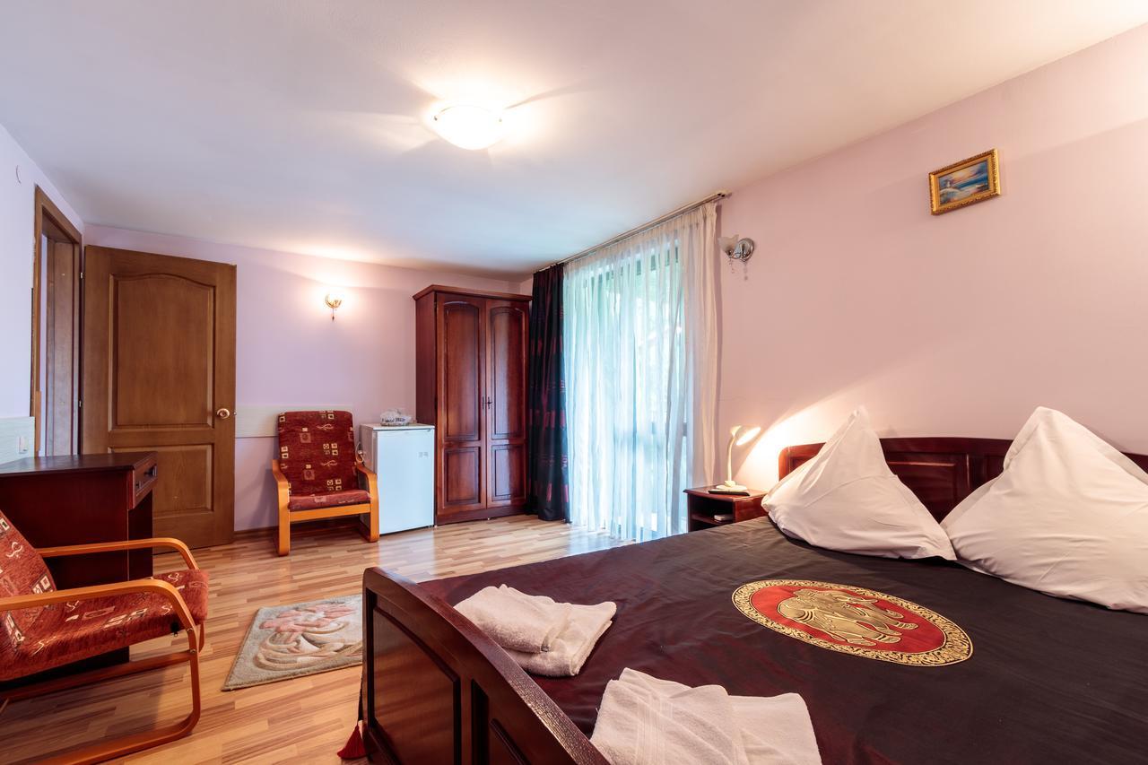Guest house Pensiunea Alis 2*